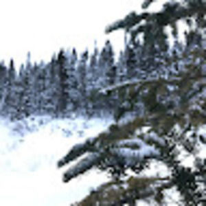 Meet your Posher, Annabella